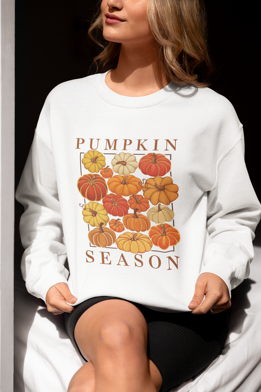 Pumpkin Season Sweatshirt & Hoodie