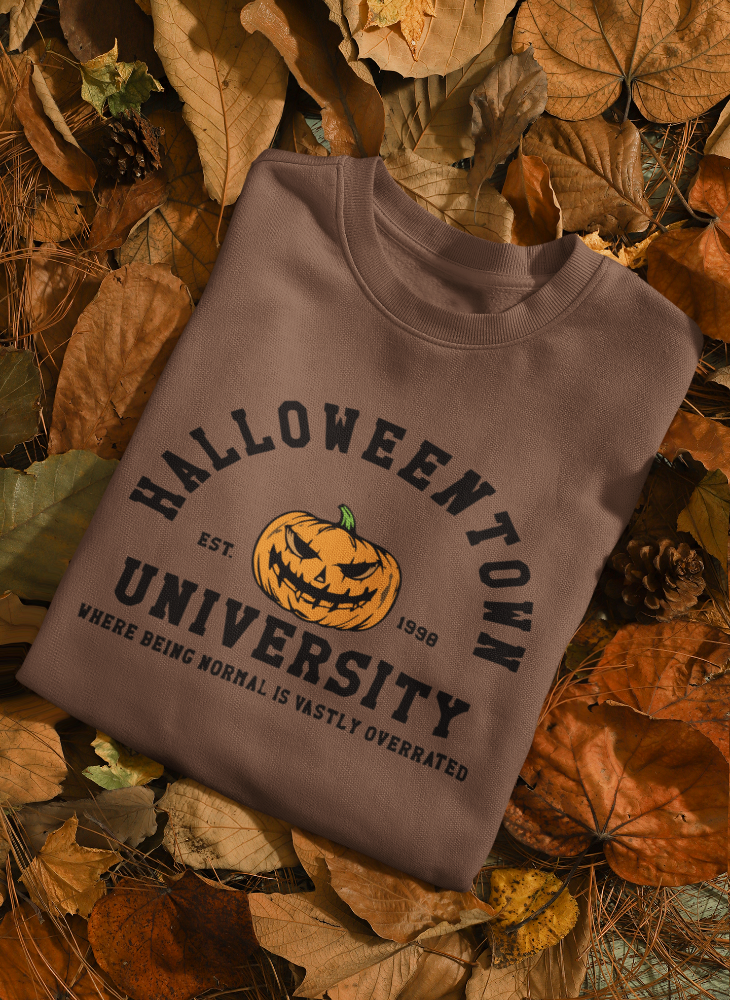 Halloweentown University Sweatshirt/Hoodie