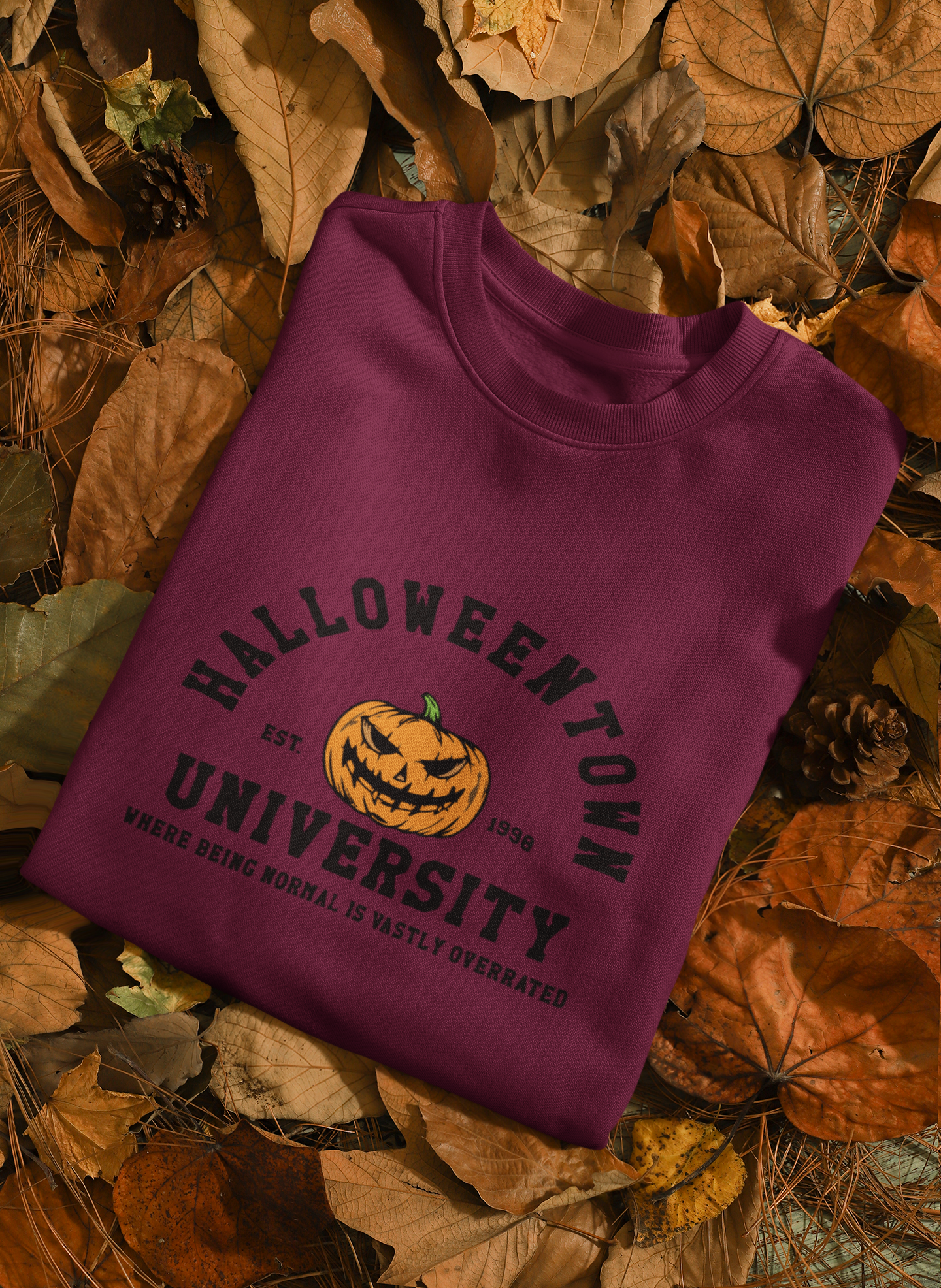 Halloweentown University Sweatshirt/Hoodie